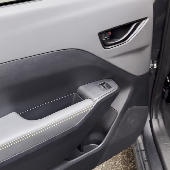 Clean door panel after a detail
