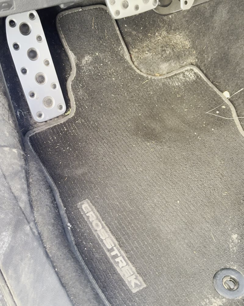 Driver floor mat before cleaning