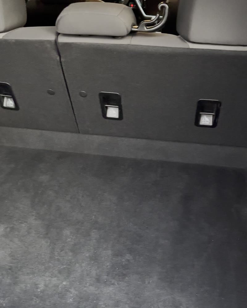 Trunk after being cleared and vacuumed